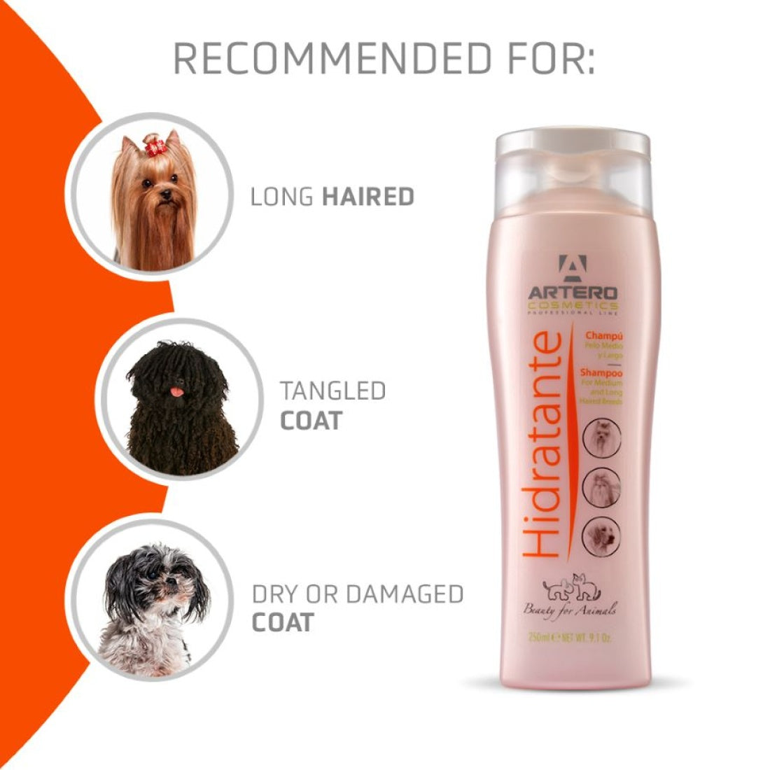 Artero Hidratante Shampoo (250ml)