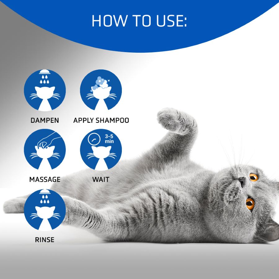 4Cats Volume Boost & Nourishing Shampoo