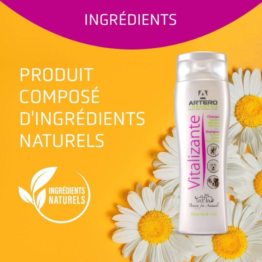Artero Vitalizante Shampo (250ml)