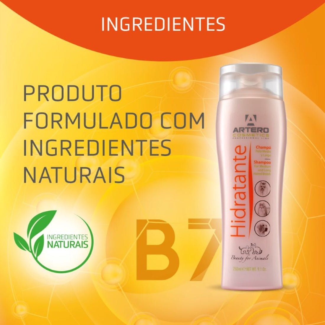 Artero Hidratante Shampoo (250ml)