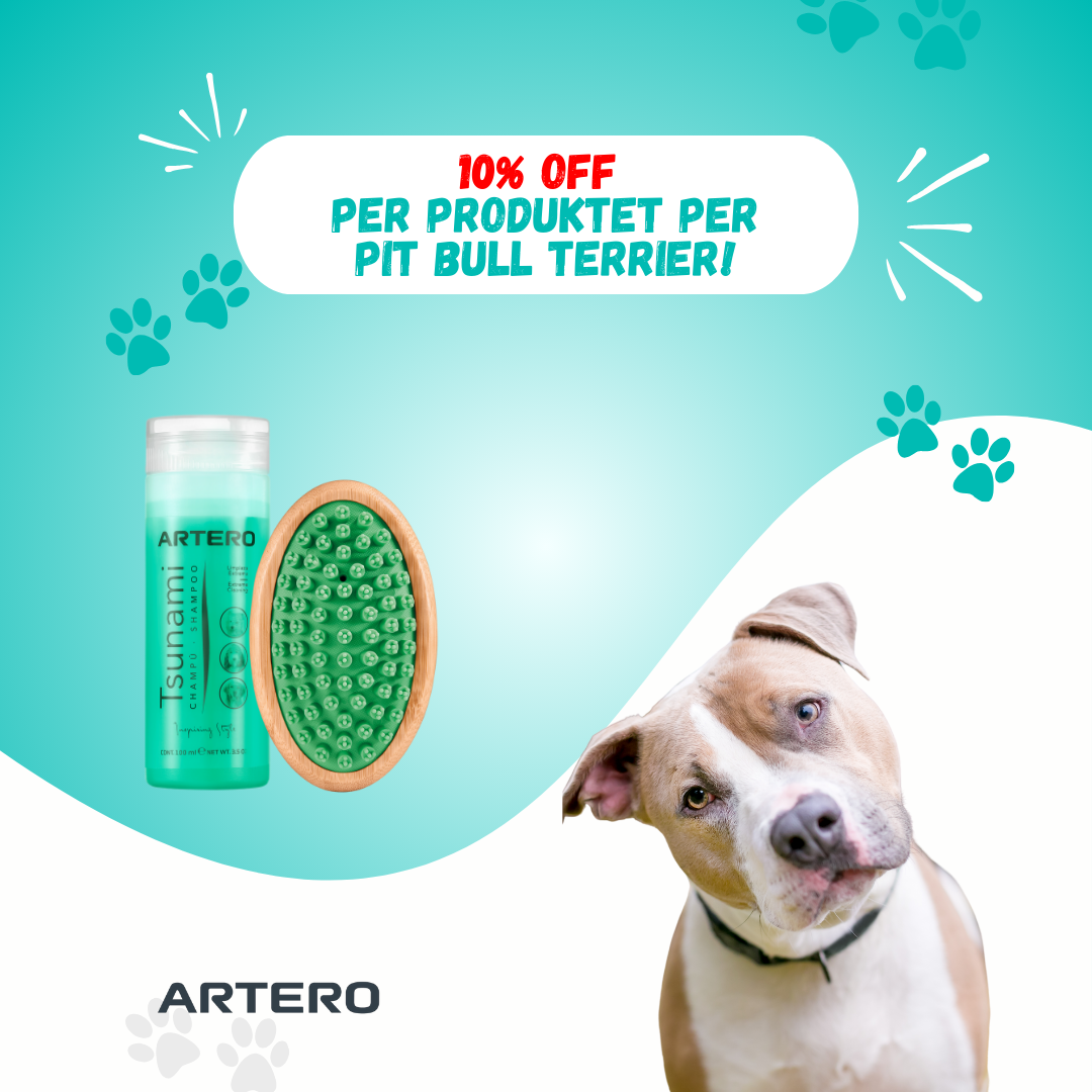 Set per Pit Bull Terrier!