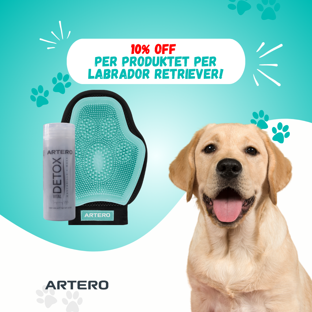 Set per Labrador Retriever!