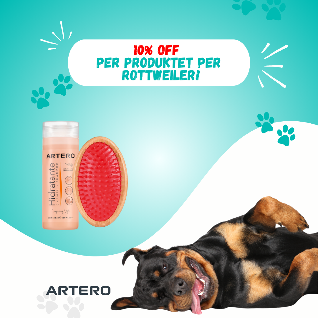 Set per Rottweiler