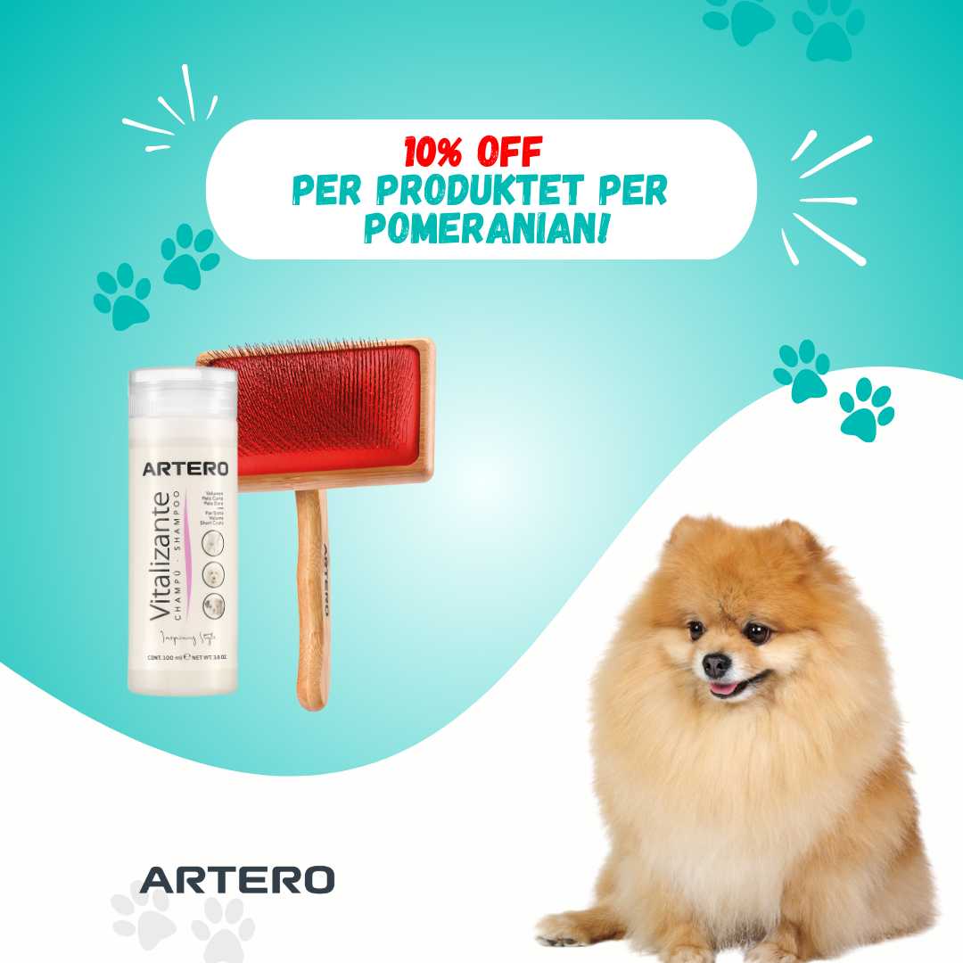 Set per pomeranian!