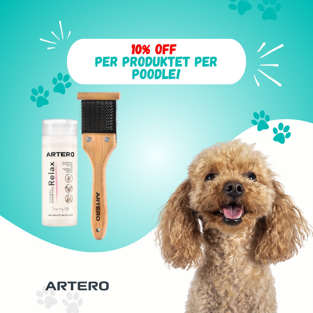 Set per poodle!
