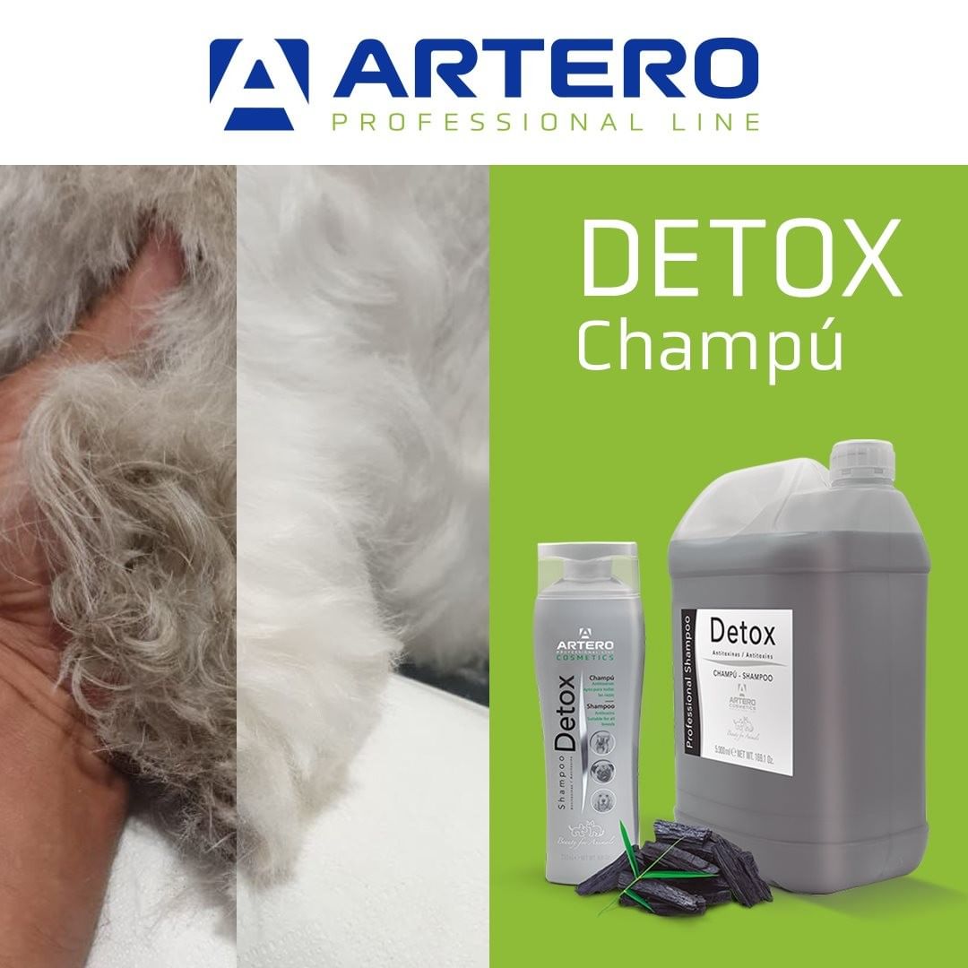 Artero Detox Shampoo (100ml)