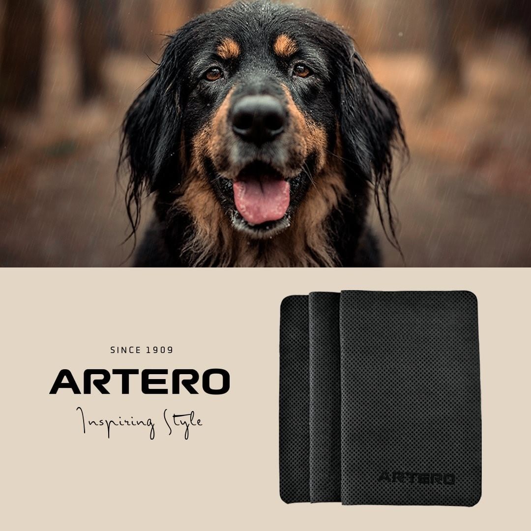 Artero Samba Absorbent Towel Large