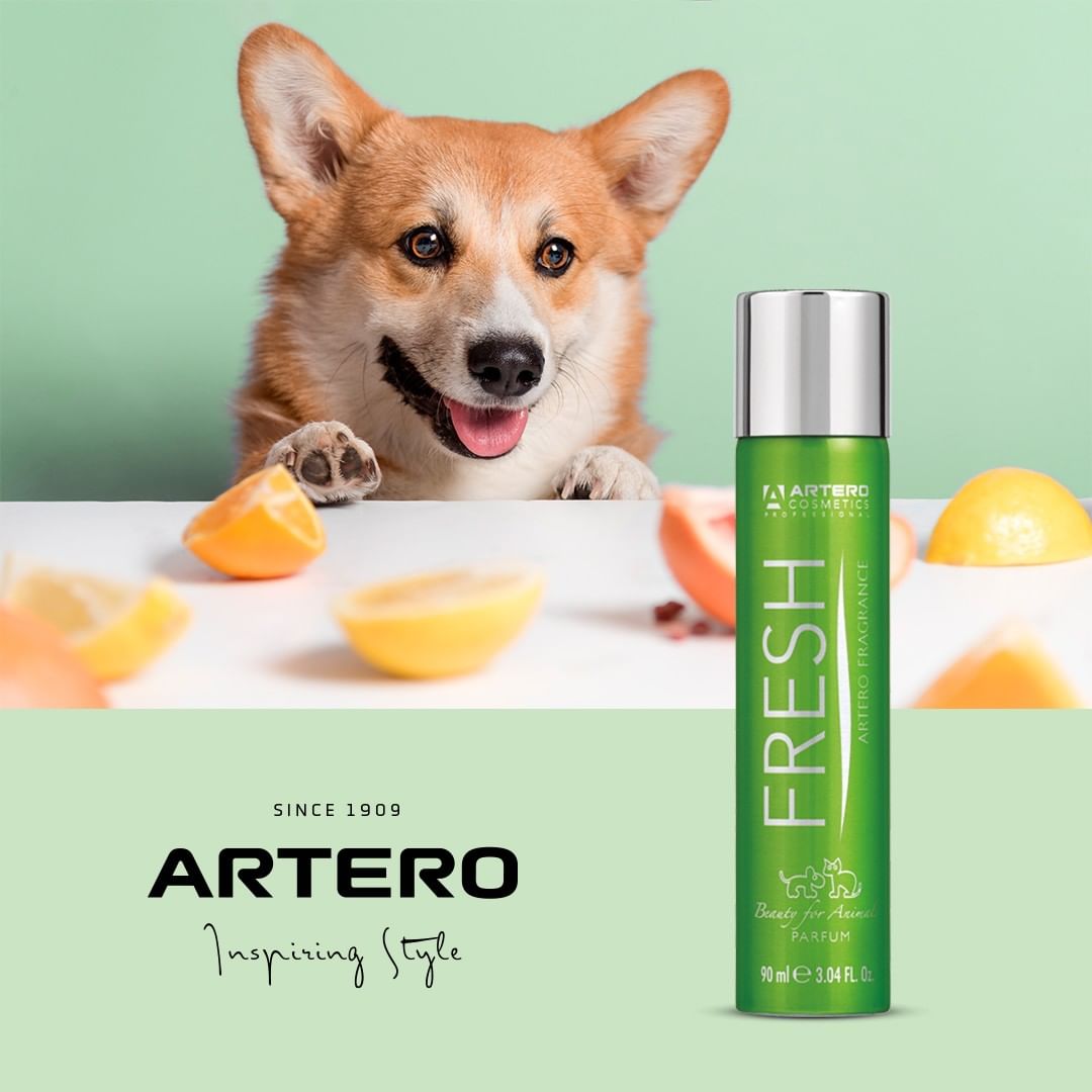 Artero Parfum Fresh 90ml