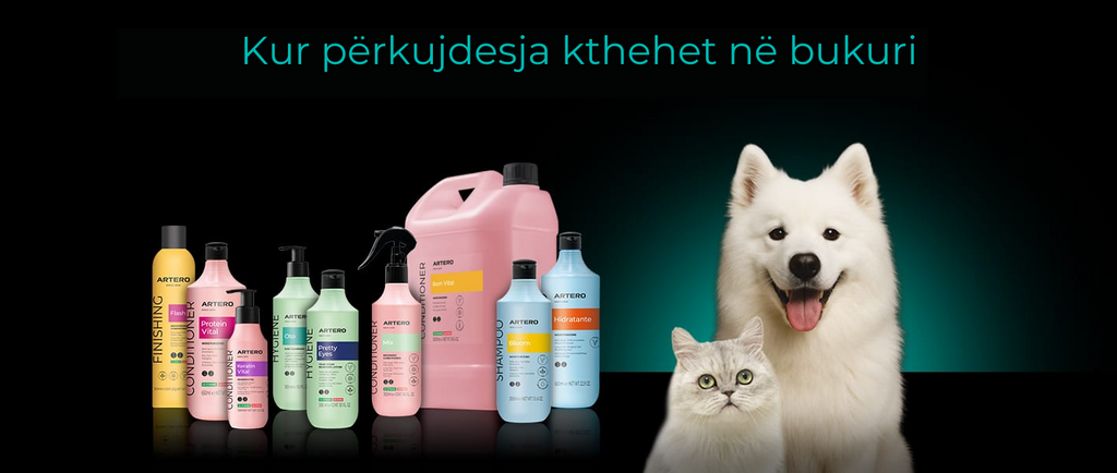 Zbuloni Koleksionin e Shampove Artero: Kujdes Profesional për Çdo Gëzof
