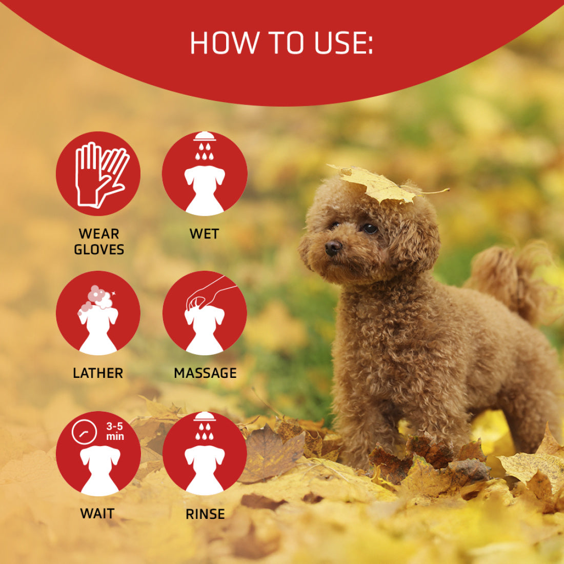 Artero Scarlet Shampoo (650ml)