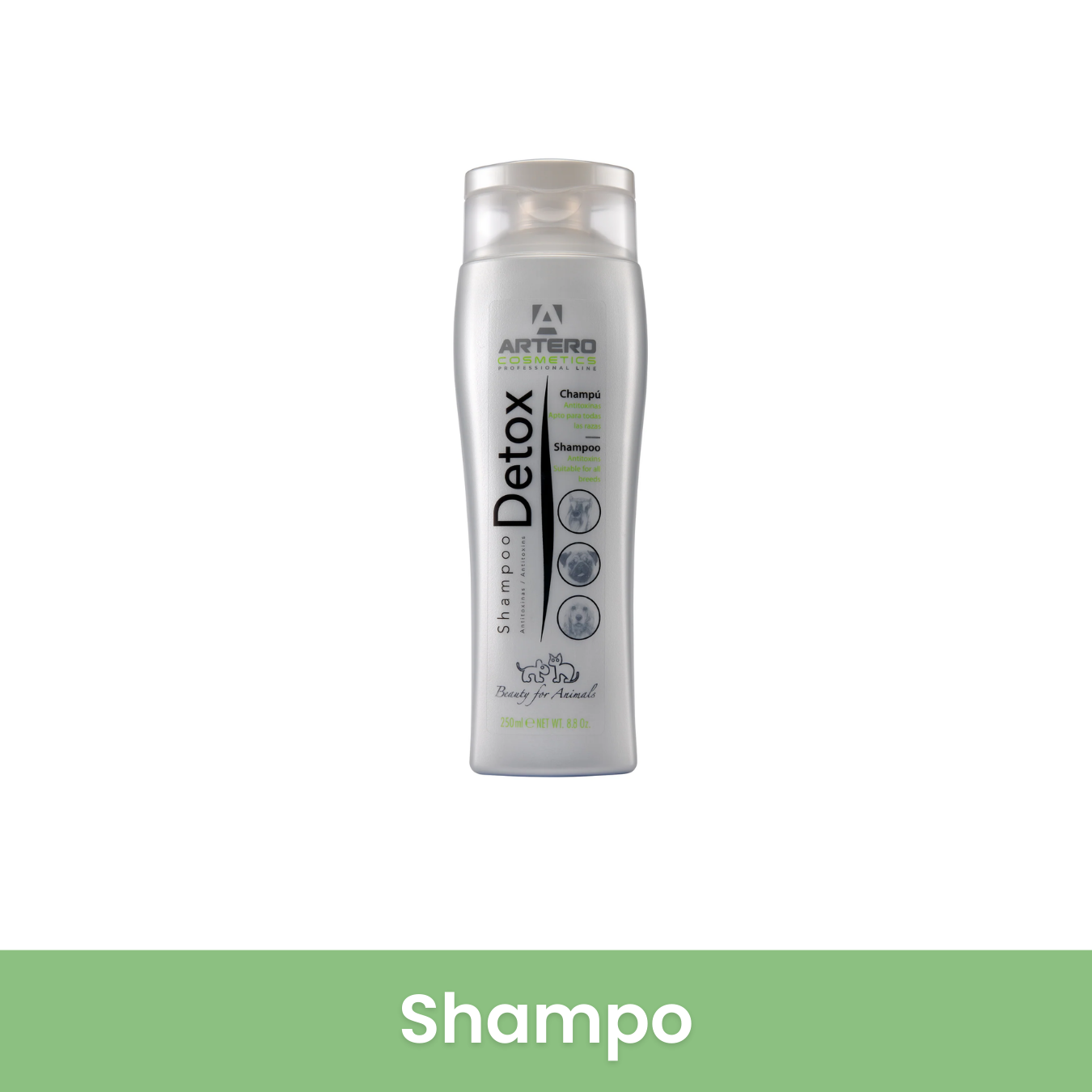 Describes the appearance of the image