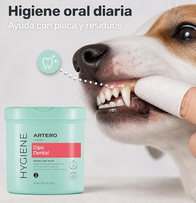 Dips Dental